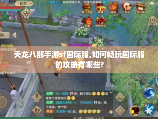 天龙八部手游sf国际服,如何畅玩国际服的攻略有哪些?