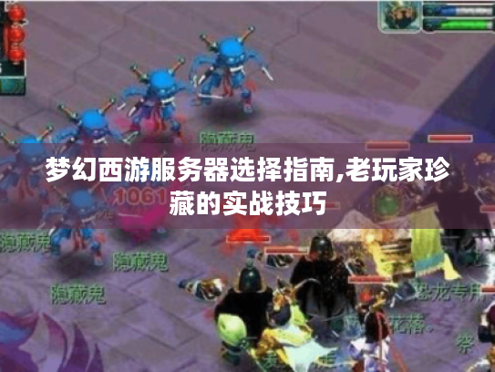 梦幻西游服务器选择指南,老玩家珍藏的实战技巧 梦幻西游服务器选择指南,老玩家珍藏的实战技巧