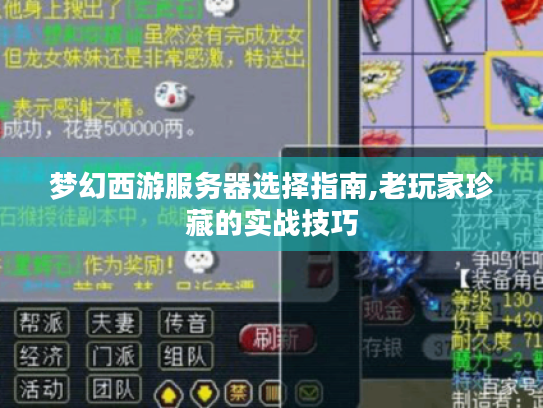 梦幻西游服务器选择指南,老玩家珍藏的实战技巧 梦幻西游服务器选择指南,老玩家珍藏的实战技巧