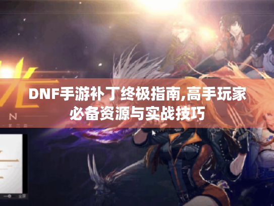 DNF手游补丁终极指南,高手玩家必备资源与实战技巧
