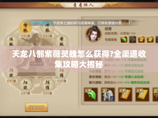 天龙八部紫薇灵魄怎么获得?全渠道收集攻略大揭秘