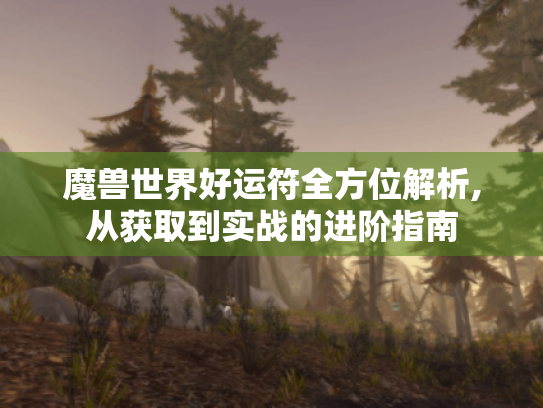 魔兽世界好运符全方位解析,从获取到实战的进阶指南