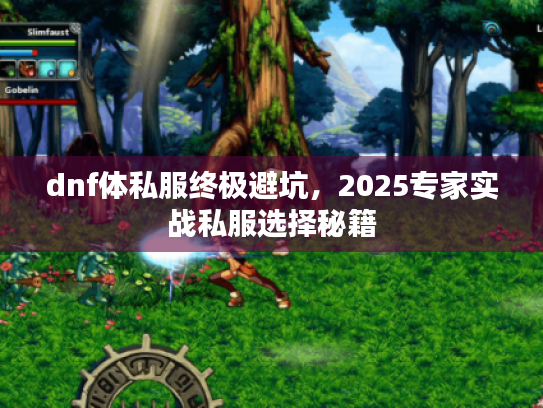 dnf体私服终极避坑，2025专家实战私服选择秘籍