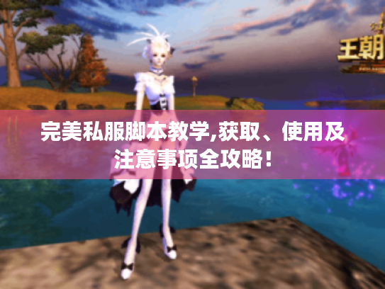 完美私服脚本教学,获取、使用及注意事项全攻略！