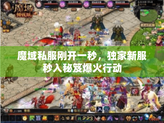 魔域私服刚开一秒，独家新服秒入秘笈爆火行动