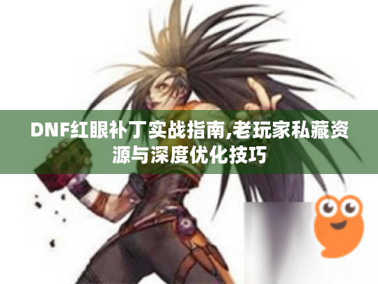 DNF红眼补丁实战指南,老玩家私藏资源与深度优化技巧