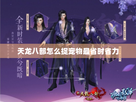 天龙八部怎么捉宠物最省时省力