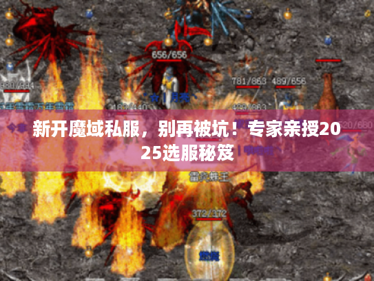 新开魔域私服，别再被坑！专家亲授2025选服秘笈