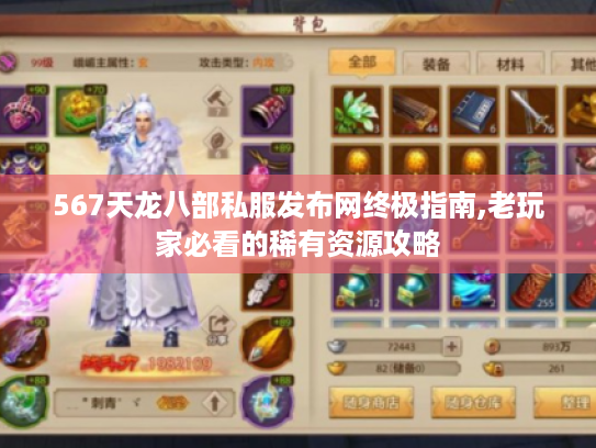 567天龙八部私服发布网终极指南,老玩家必看的稀有资源攻略