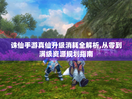 诛仙手游真仙升级消耗全解析,从零到满级资源规划指南