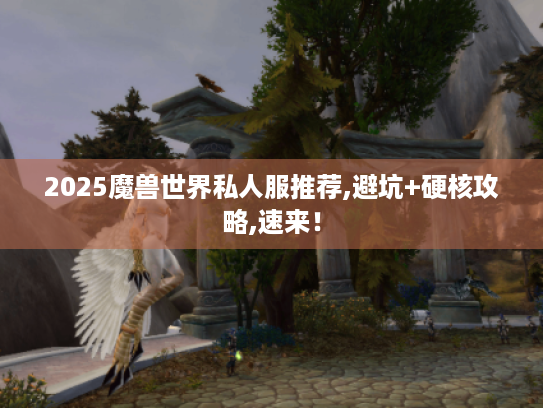 2025魔兽世界私人服推荐,避坑+硬核攻略,速来！