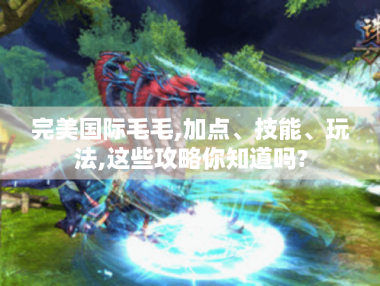 完美国际毛毛,加点、技能、玩法,这些攻略你知道吗?