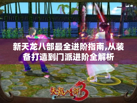 新天龙八部最全进阶指南,从装备打造到门派进阶全解析