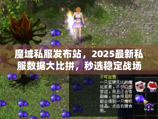 魔域私服发布站，2025最新私服数据大比拼，秒选稳定战场