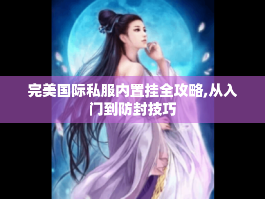 完美国际私服内置挂全攻略,从入门到防封技巧
