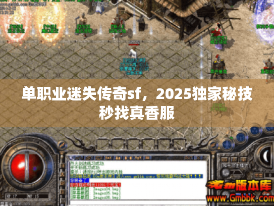 单职业迷失传奇sf，2025独家秘技秒找真香服