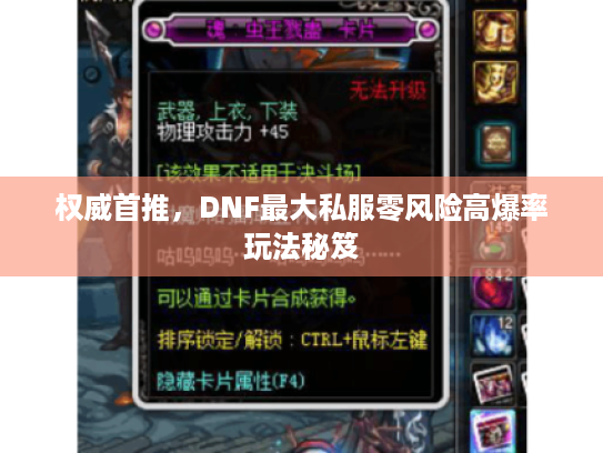 权威首推，DNF最大私服零风险高爆率玩法秘笈