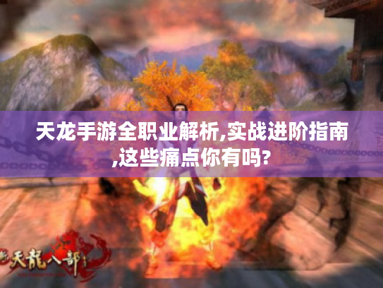 天龙手游全职业解析,实战进阶指南,这些痛点你有吗? 天龙手游全职业解析,实战进阶指南,这些痛点你有吗?