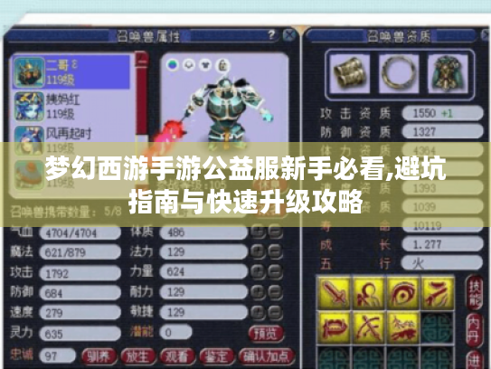 梦幻西游手游公益服新手必看,避坑指南与快速升级攻略