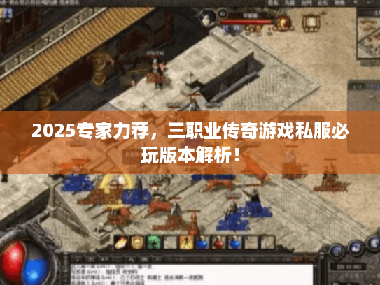 2025专家力荐，三职业传奇游戏私服必玩版本解析！