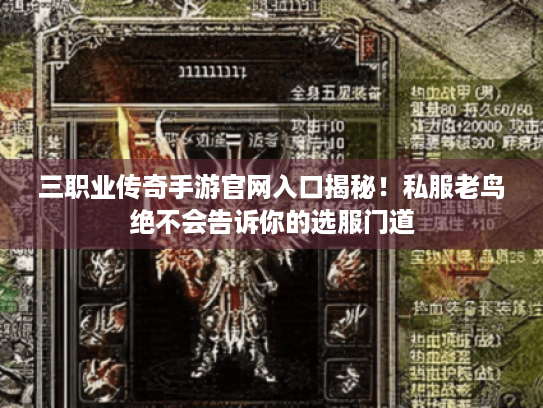 三职业传奇手游官网入口揭秘!私服老鸟绝不会告诉你的选服门道 三职业传奇手游官网入口揭秘!私服老鸟绝不会告诉你的选服门道