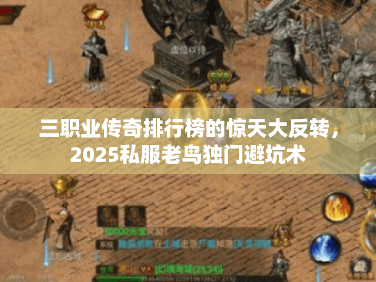 三职业传奇排行榜的惊天大反转，2025私服老鸟独门避坑术