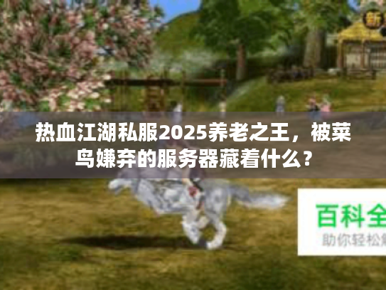 热血江湖私服2025养老之王，被菜鸟嫌弃的服务器藏着什么？