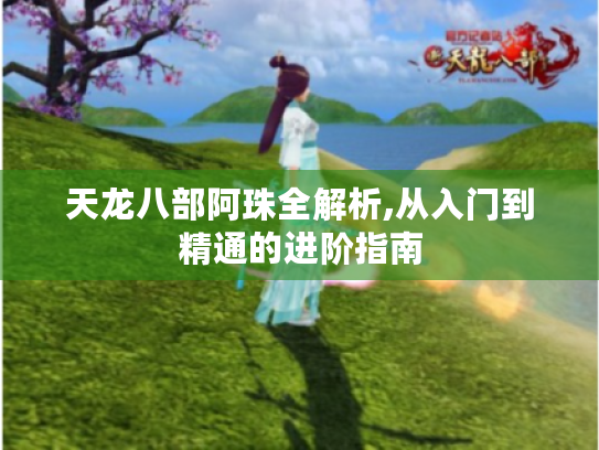 天龙八部阿珠全解析,从入门到精通的进阶指南