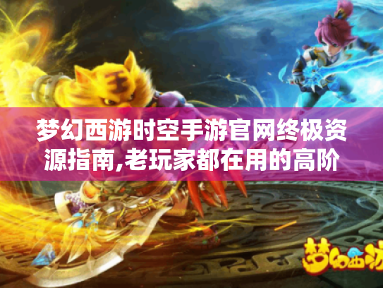 梦幻西游时空手游官网终极资源指南,老玩家都在用的高阶技巧