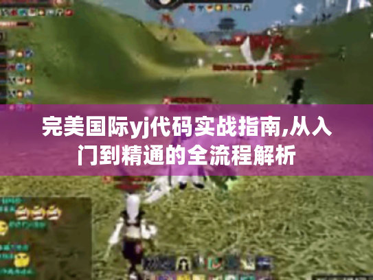 完美国际yj代码实战指南,从入门到精通的全流程解析 完美国际yj代码实战指南,从入门到精通的全流程解析