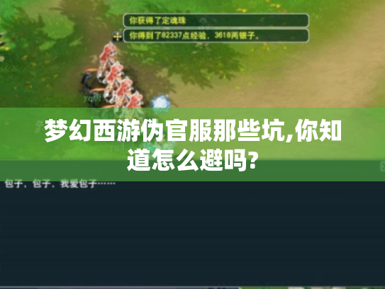 梦幻西游伪官服那些坑,你知道怎么避吗? 梦幻西游伪官服那些坑,你知道怎么避吗?