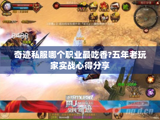 奇迹私服哪个职业最吃香?五年老玩家实战心得分享