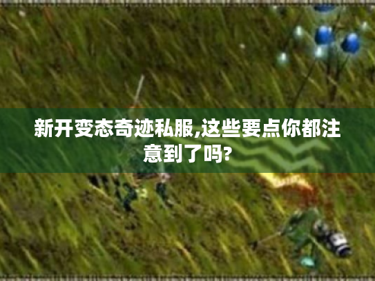 新开变态奇迹私服,这些要点你都注意到了吗?
