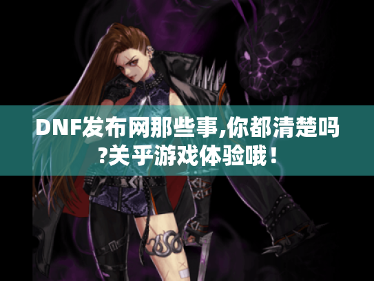 DNF发布网那些事,你都清楚吗?关乎游戏体验哦！