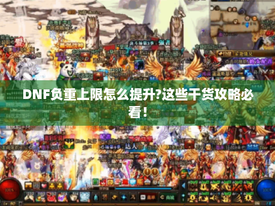 DNF负重上限怎么提升?这些干货攻略必看！