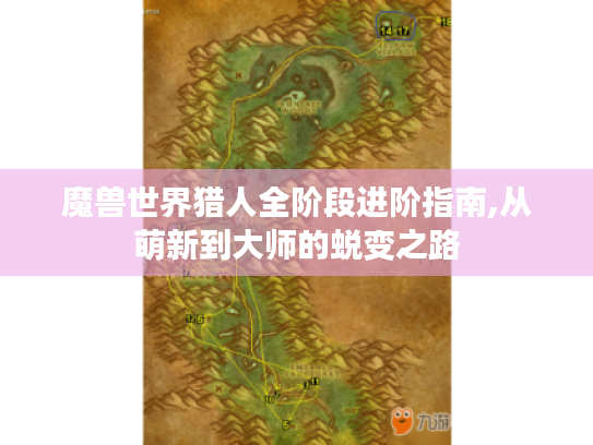 魔兽世界猎人全阶段进阶指南,从萌新到大师的蜕变之路