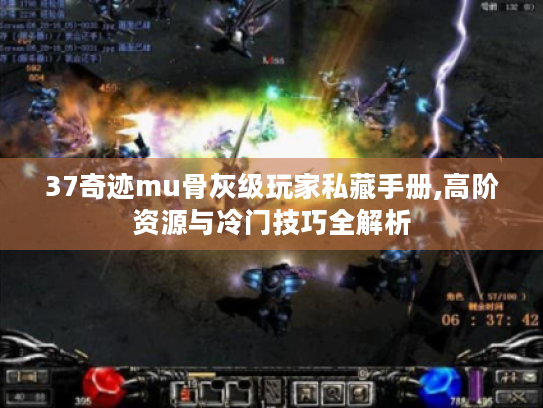 37奇迹mu骨灰级玩家私藏手册,高阶资源与冷门技巧全解析