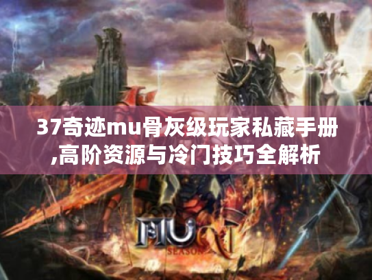 37奇迹mu骨灰级玩家私藏手册,高阶资源与冷门技巧全解析