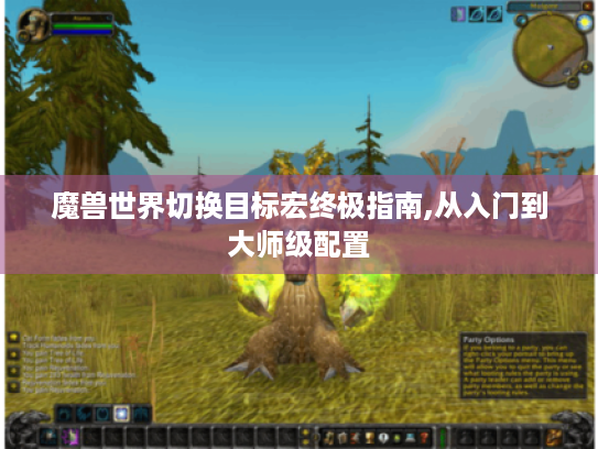 魔兽世界切换目标宏终极指南,从入门到大师级配置