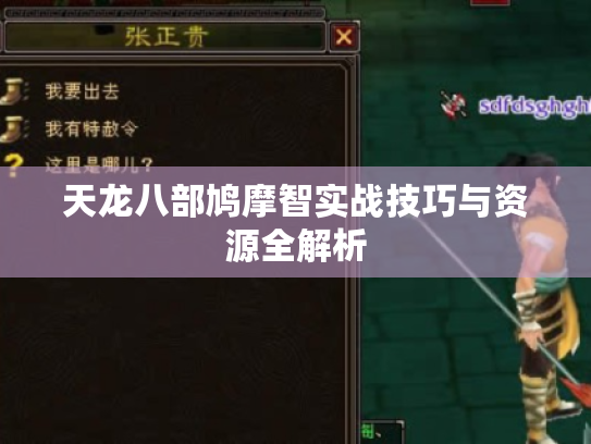 天龙八部鸠摩智实战技巧与资源全解析
