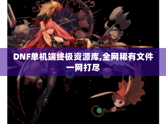 DNF单机端终极资源库,全网稀有文件一网打尽 DNF单机端终极资源库,全网稀有文件一网打尽