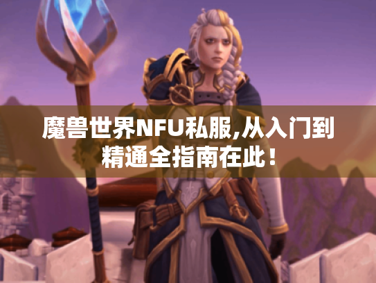 魔兽世界NFU私服,从入门到精通全指南在此！