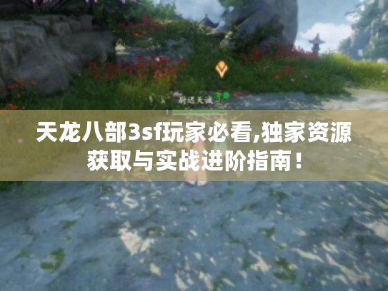 天龙八部3sf玩家必看,独家资源获取与实战进阶指南！