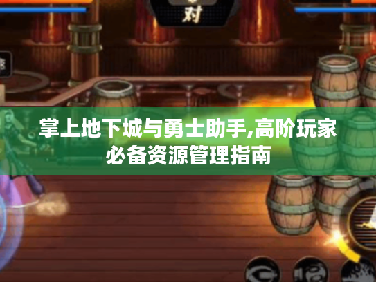 掌上地下城与勇士助手,高阶玩家必备资源管理指南