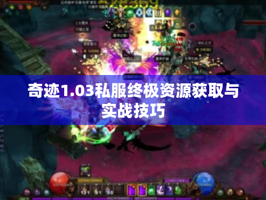奇迹1.03私服终极资源获取与实战技巧