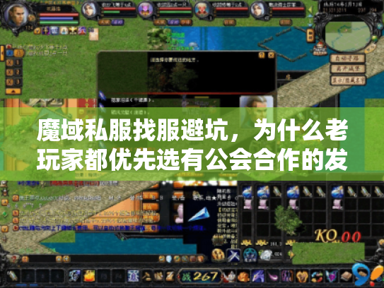 魔域私服找服避坑，为什么老玩家都优先选有公会合作的发布网？