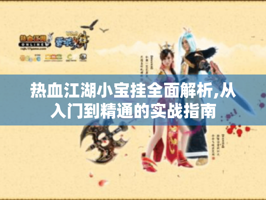 热血江湖小宝挂全面解析,从入门到精通的实战指南