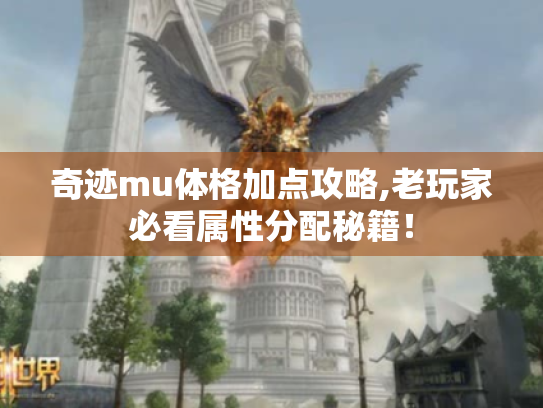 奇迹mu体格加点攻略,老玩家必看属性分配秘籍！