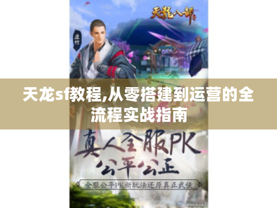 天龙sf教程,从零搭建到运营的全流程实战指南