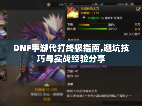 DNF手游代打终极指南,避坑技巧与实战经验分享